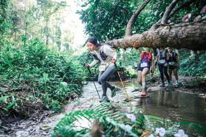 BIB: 
                            <button type="button" onclick="openModal(25446933)" class="btn btn-primary btn-sm float-right btn-popup" data-toggle="modal" data-target=".modal-high-quality">
                        <i class="fas fa-shopping-cart"></i> Add to Cart
                    </button>
                                            <button type="button" onclick="isThisMe(25446933, true)" class="btn btn-success btn-sm float-right btn-popup btn-isme hidden" data-toggle="tooltip" data-placement="bottom" title="นี่คือรูปของคุณใช่ไหม คลิกที่นี่เพื่อเอาเข้าอัลบั้ม">
                        <i class="fas fa-plus"></i> Add to album
                    </button>
                    <button type="button" onclick="isThisMe(25446933, false)" class="btn btn-warning btn-sm float-right btn-popup btn-isnotme hidden">
                        <i class="fas fa-ban"></i> Remove from album
                    </button>